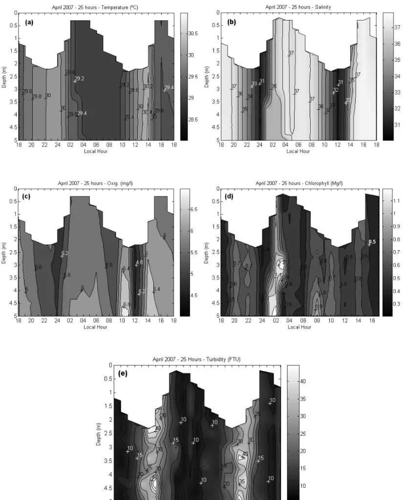 Figure 7 – Vertical temporal variation (25 hours) of temperature (a), salinity (b), dissolved oxygen (c), chlorophyll-a (d) and turbidity (e) in the mouth of the Jaguaribe river estuary (Station 02) in April/2007.