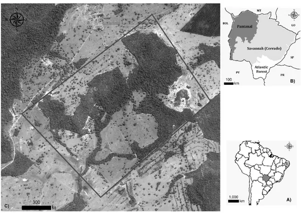 Figura  1.  Imagem  de  alta  resolução  do  satélite  Geoeye,  disponível  no  banco  de  dados  do  ArcMap  10  (ESRI®)  (A)  Localização do estado de Mato Grosso do Sul – Brasil; (B) Representação dos biomas inseridos no estado de Mato Grosso  do Sul; (