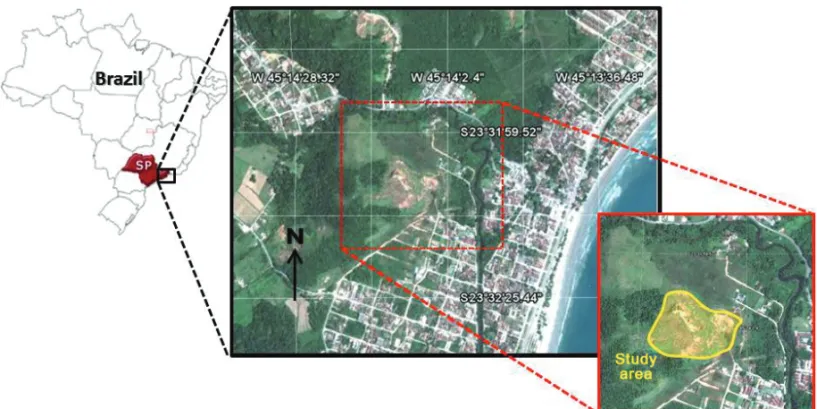 Figure 1 – Study area situated at Maranduba beach, Ubatuba City, S˜ao Paulo State, Brazil
