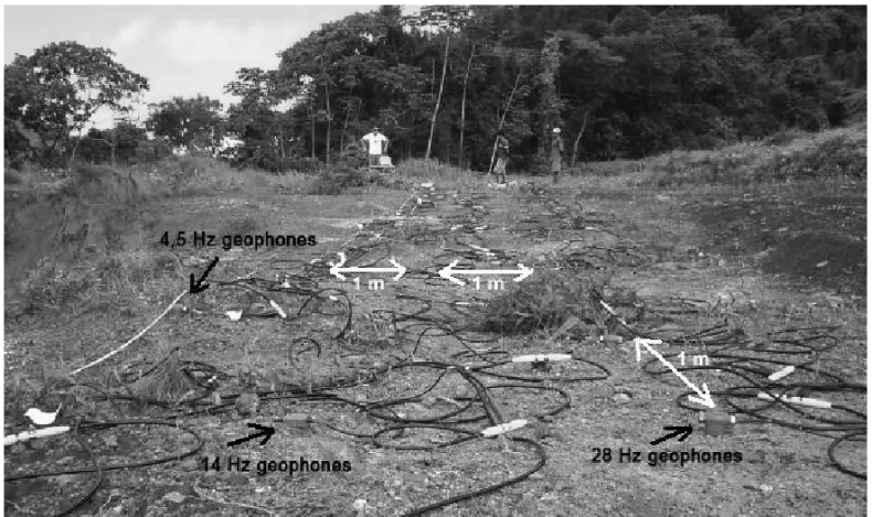 Figure 3 – Surveyed site, showing the adopted geophone configuration.