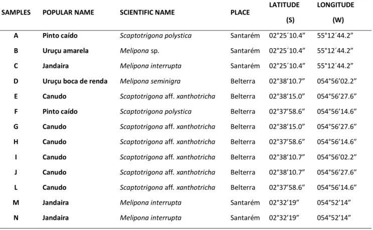 Table 1. Identification of stingless bee species and geographical description of municipalities of sampling