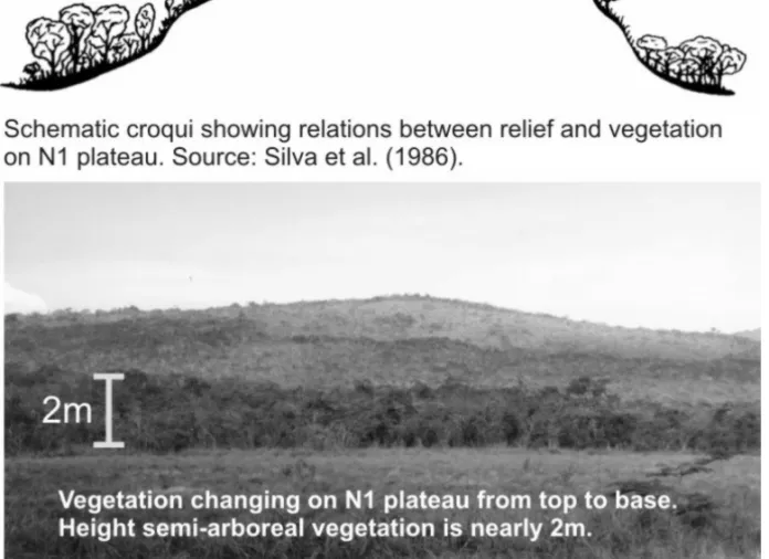 Figure 3 – Vegetation changing × relief on N1 plateau.
