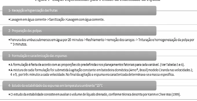 Figura 1- Etapas experimentais para o estudo da estabilidade da espuma 