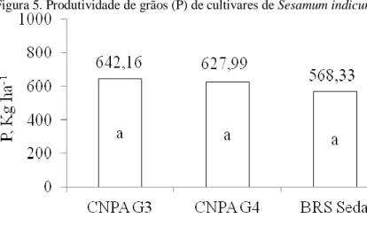 Figura 5. Produtividade de grãos (P) de cultivares de Sesamum indicum. 