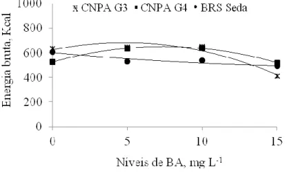 Figura 6. Energia bruta em Kcal por 100 g de amostra nas sementes das cultivares de Sesamum indicum, submetidas as  diferentes concentrações de Benziladenina
