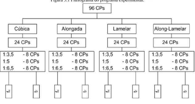 Figura 3.1 Fluxograma do programa experimental. 
