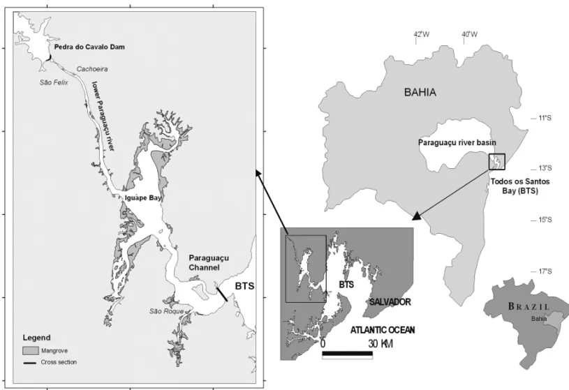 Figure 2 – The Paraguac¸u River estuary and cross-section localization.