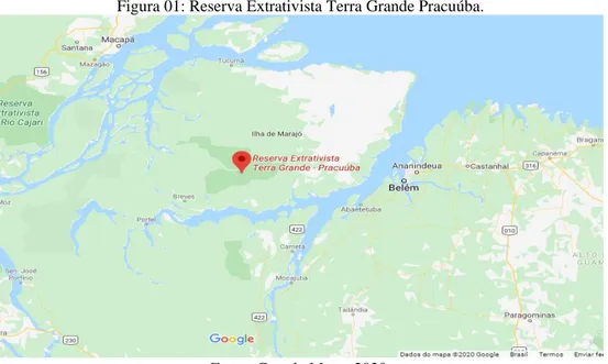 Figura 01: Reserva Extrativista Terra Grande Pracuúba. 