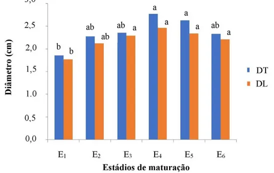 Figura 4. Diâmetro transversal (DT) e diâmetro longitudinal (DL) dos frutos de  Eugenia azeda Sobral em diferentes  estádios de maturação