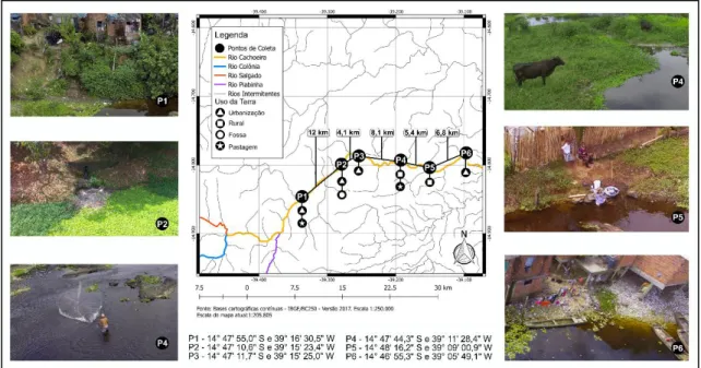 Figura 1: Mapa temático identificando e classificando todos os pontos de coleta e suas respectivas distancias entre eles