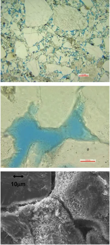 Figure 3 shows thin sections images of the sandstone facies, with detail of the fringes as well as a SEM image illustration the grain boundaries.