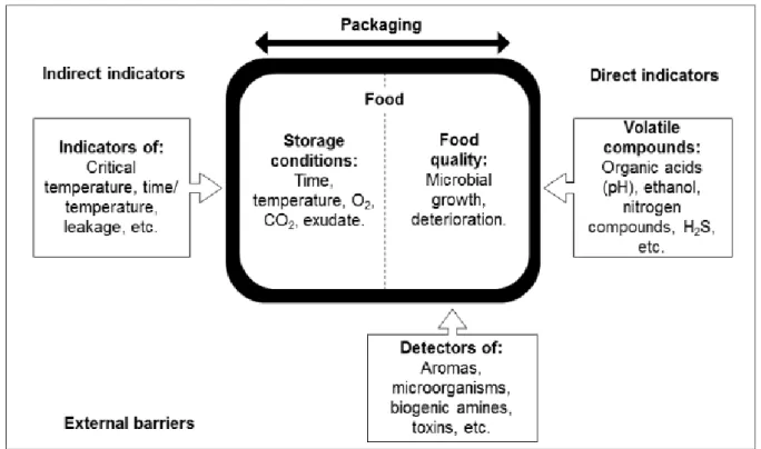 Figure 2. Main indirect and direct indicators of food quality used to verify storage conditions and food quality
