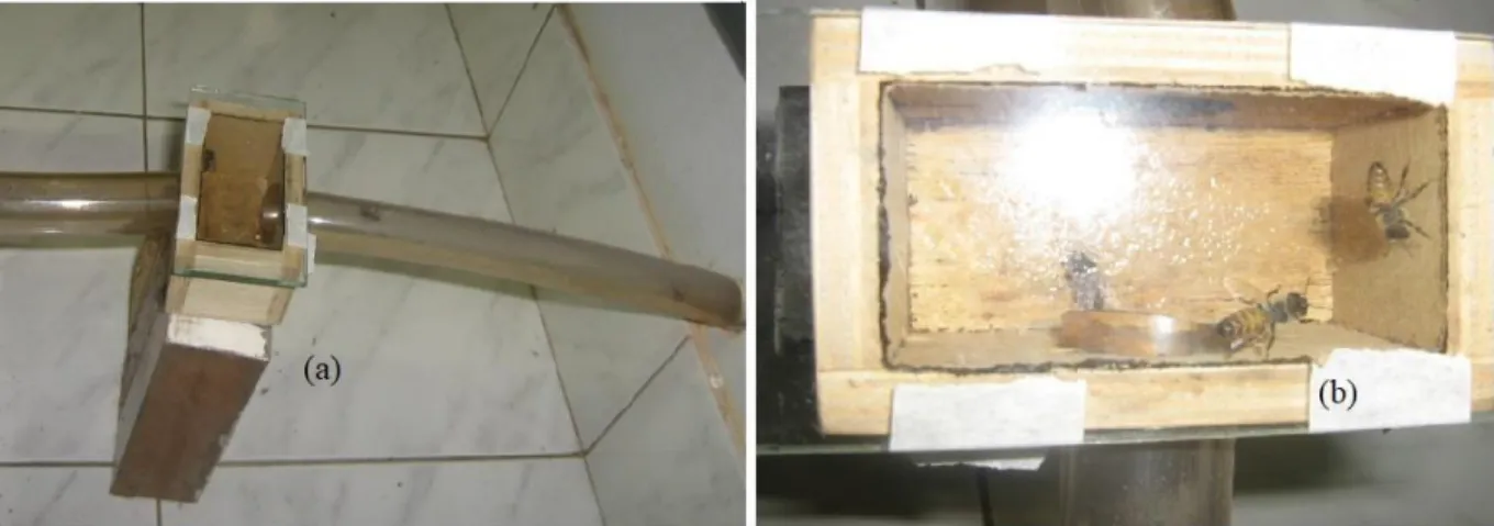 Fig 2 View of the wooden box attached to an observation beehive: (a) overview, (b) top view