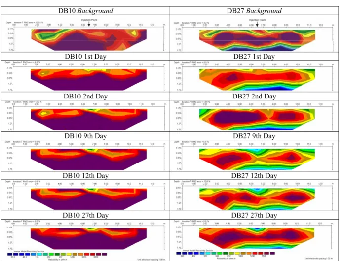 Figure 4 – Multitemporal inversion-model resistivity sections at Dom Bosco station.
