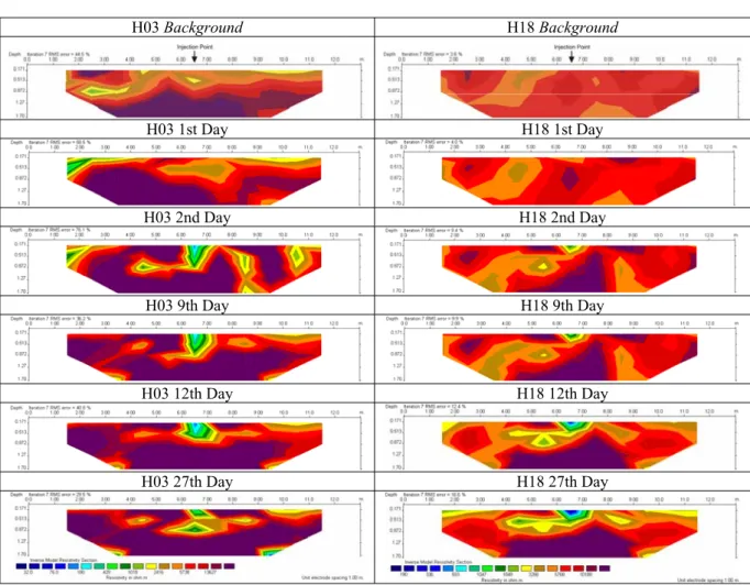Figure 5 – Multitemporal inversion-model resistivity sections at Holanda station.