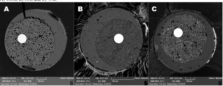 Figure 3: Representative scanning electron microscopy (SEM) images of nanoleakage in slices from each study group