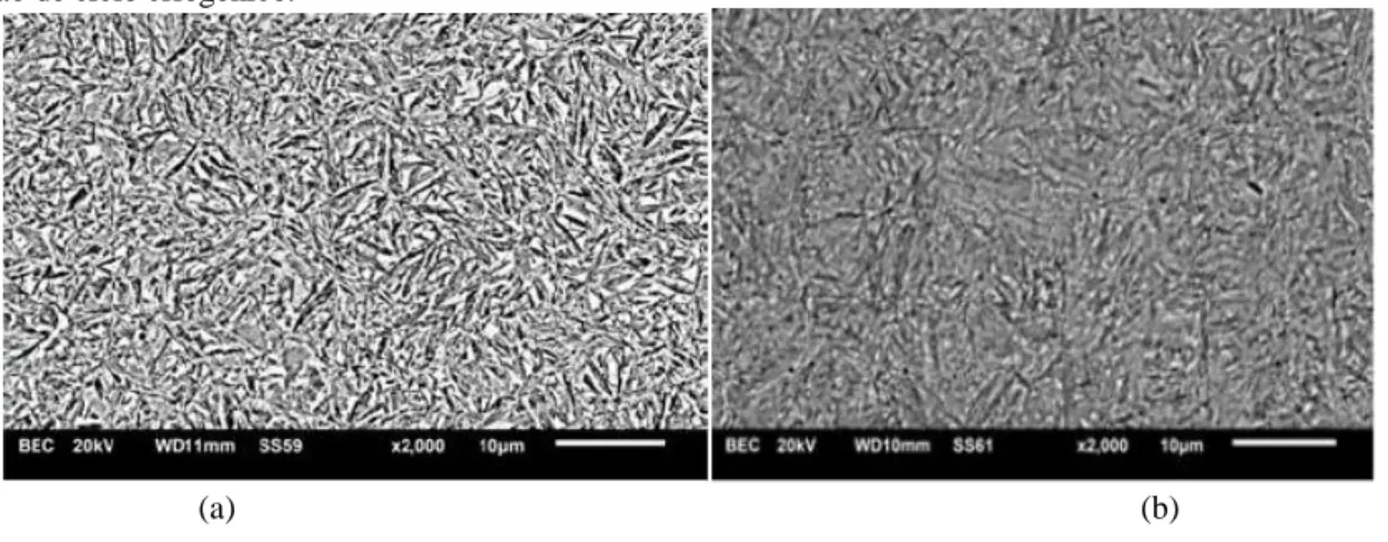 Figura  3:  Microestrutura,  após  processo  subzero  verificando-se  a  presença  de  martensita  e  redução  drástica  do  percentual  de  austenita  retida  (MEV)  em  (a)