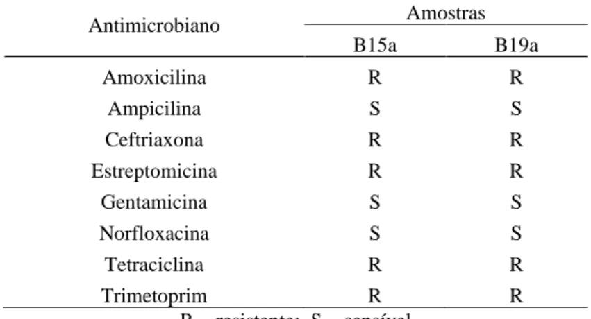 Tabela 1. Resultado do teste de sensibilidade aos antimicrobianos 
