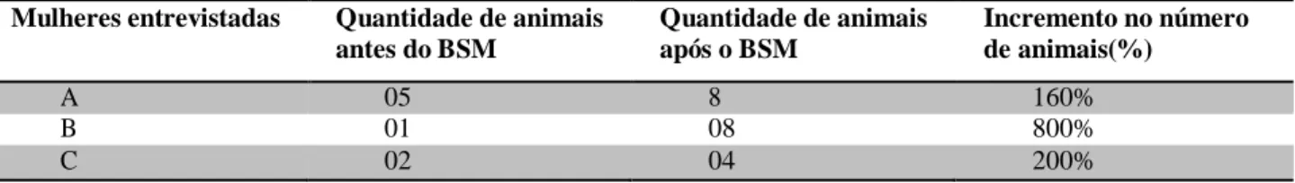 Tabela 12- Quantidade de animais antes e depois do BSM e incremento no número de animais em percentagem-  atividade suinocultura-mulheres entrevistadas 