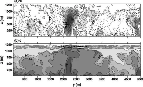 Figure 6 – Contour plots of: (a) vertical velocity component ( ms −1 ) , and (b) pollutant concentration (ppm)