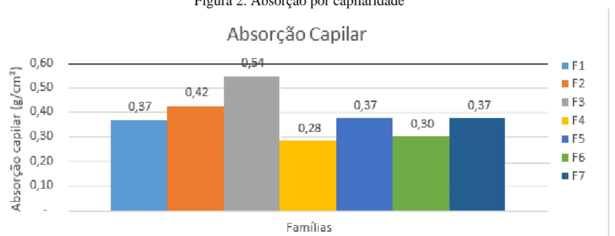 Figura 2. Absorção por capilaridade 