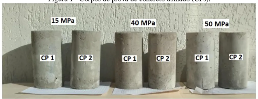 Figura 1 - Corpos de prova de concreto usinado (CPs).