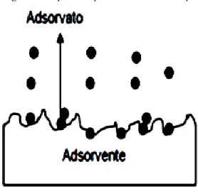 Figura 3. Esquema representativo da adsorção. 