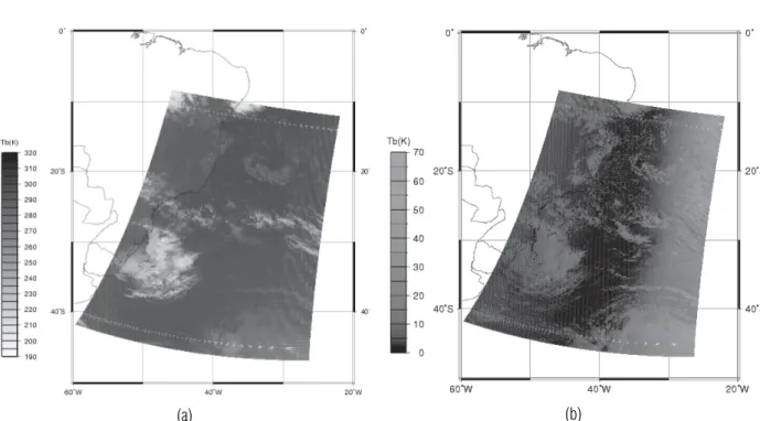 Figure 4 – NOAA-15 AVHRR images on February 23, 2000 at 10:02 UTC: (a) brightness temperature (K), at 12.0 µ m (b) albedo at 0.6 µ m.