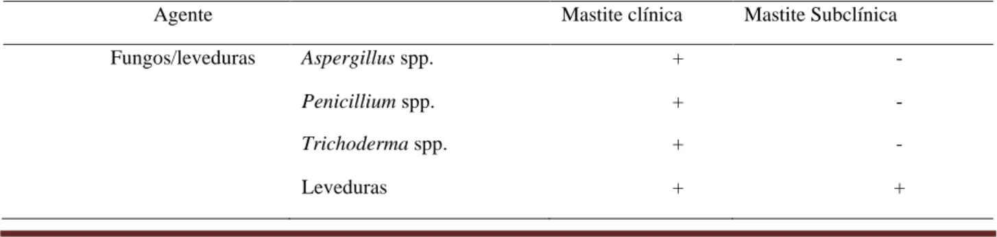 Tabela 6 - Animais acometidos pela mastite clínica e subclínica de uma propriedade leiteira no município de Mossoró,  RN, 2020   