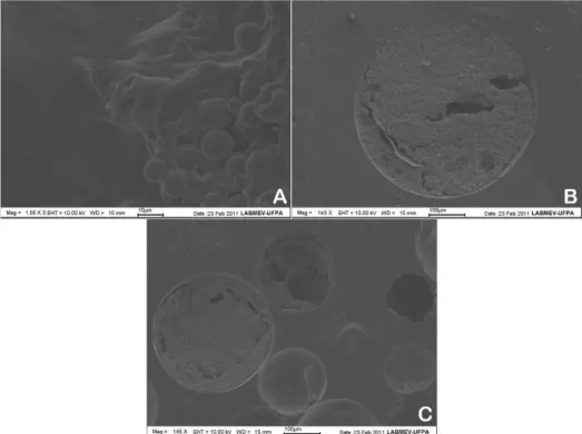 Figura 1. Eletromicrografias das farinhas de tapioca escaldadas: (A) Pai Ambrósio, 1000x; (B) Pocu, 242x e (C) Paulo  Velho, 145x 