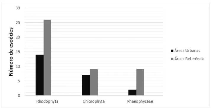 Figura 2. Gráfico comparativo da ocorrência do número de espécies de macroalgas entre os filos em fevereiro de 2016,  em áreas Urbanas e de Referência do litoral de Pernambuco