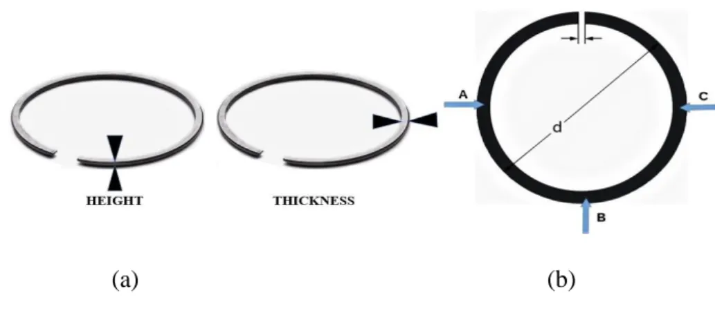 Figure 5: (a) Height and thickness of the segment ring. (b) – Height and thickness measurement points  in the segment rings