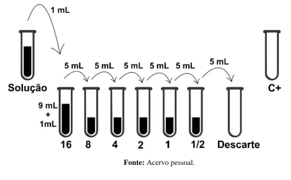 Figura 1: Esquema de preparação do teste de diluição seriada 