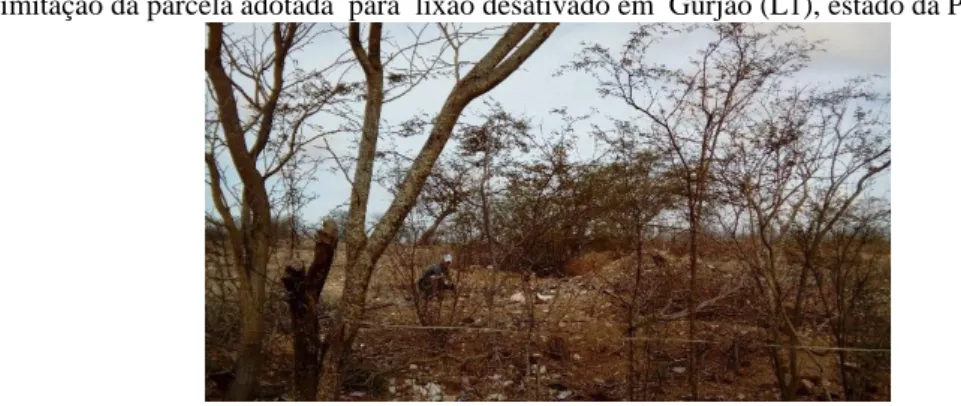 Fig. 3 Delimitação da parcela adotada  para  lixão desativado em  Gurjão (L1), estado da Paraíba, Brasil