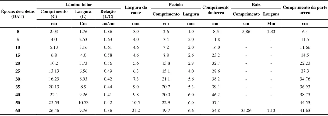 Tabela 3. Média das medidas das características morfológicas de Rumex acetosa L. ao longo das épocas de coletas