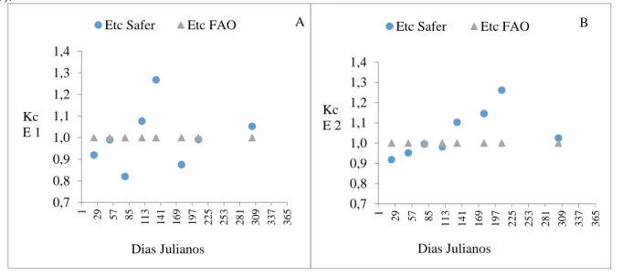 Figura 3. Comparativo de Kc estimado pelo método padrão FAO-56 (Allen et al., 1998), com Kc estimado utilizando o  SAFER, para as gramas esmeralda (A) e batatais (B), de outubro de 2018 a julho de 2019, em Santa Maria (Trindade -  GO)