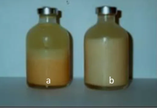 Figura 2 - Bebida láctea fermentada colorida com norbixinato (a) e bixina microencapsulada (b)