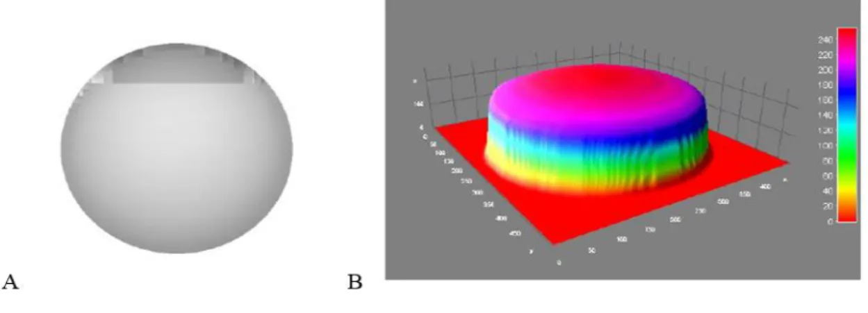 Figura 2 – Levantamento topográfico da esfera de plástico: A) bidimensional. B) tridimensional