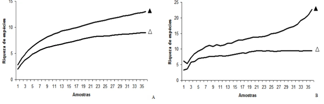 Figura 1 - Curvas de acumulação de espécies (A) e estimativa de riqueza (B), para as  amostragens de formiga em cultivo de cana-de-açúcar, nos períodos da manhã (Δ) e tarde (▲)