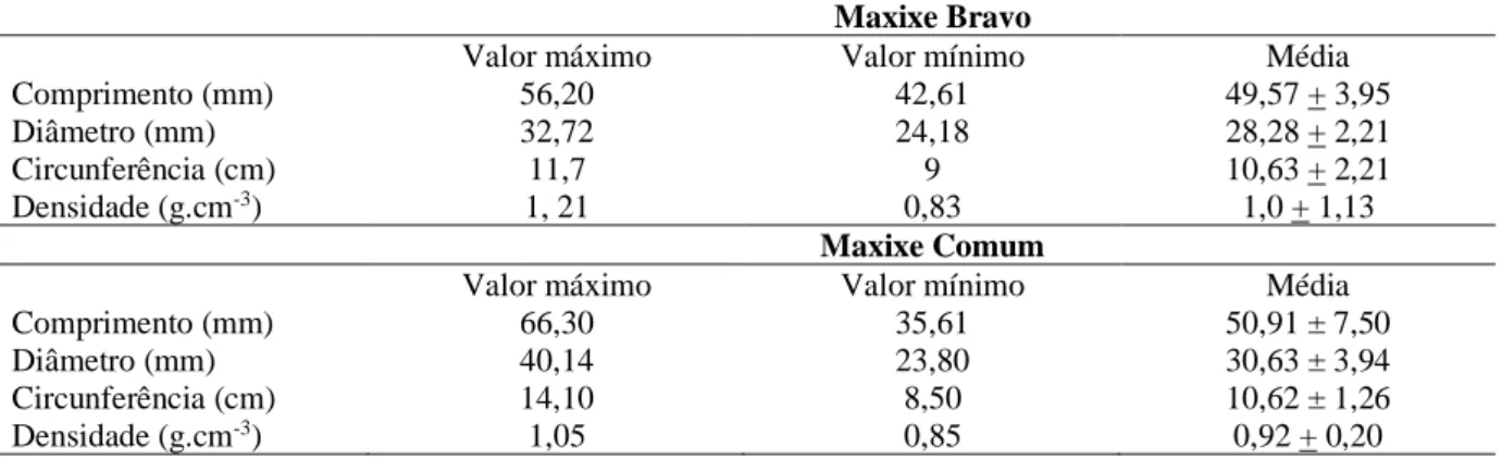 Tabela 1. Biometria do Maxixe-bravo (Cucumis dipsaceus Ehrenb) e do Maxixe comum (Cucumus anguria L)
