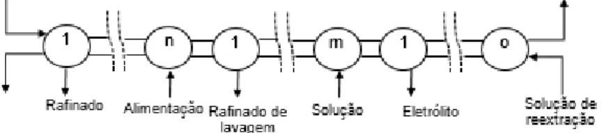 Figura 1. Representação esquemática do circuito de extração por solventes estudado. 
