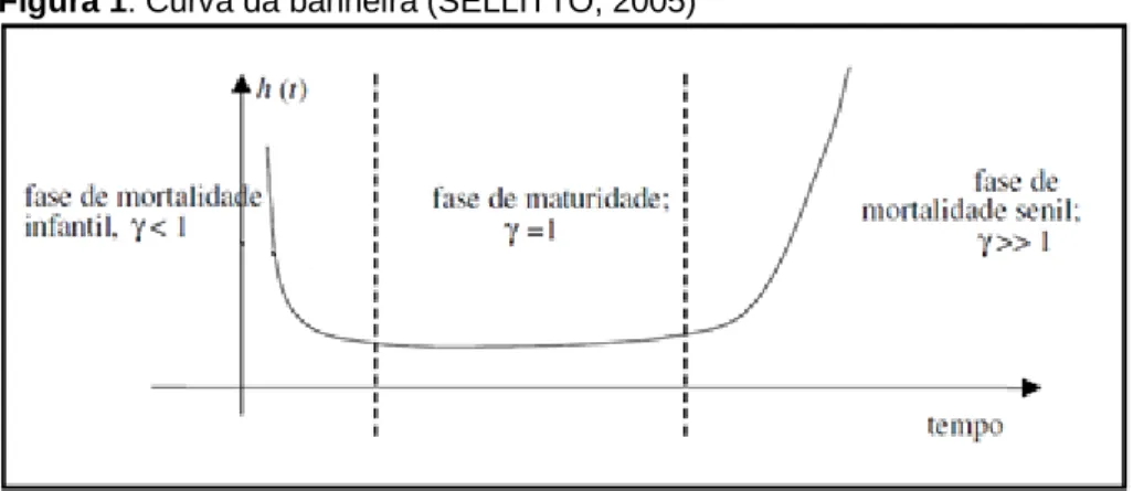 Figura 1: Curva da banheira (SELLITTO, 2005)