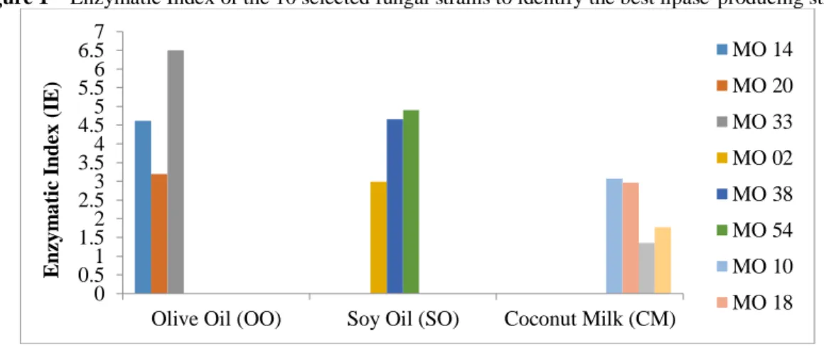 Figure 1 – Enzymatic Index of the 10 selected fungal strains to identify the best lipase-producing strains 