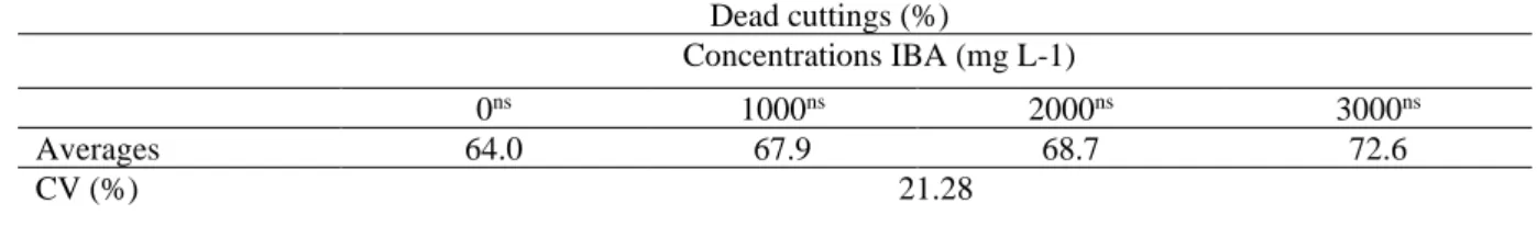 Table 4: Percentage of dead cuttings (PEM) for the factor IBA concentrations in  M. ilicifolia cuttings