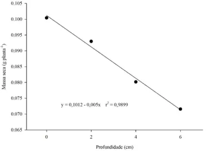 Figura 4. Massa seca (g planta -1 ) da B. pilosa em função de diferentes profundidades