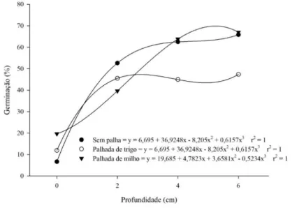 Figura 1. Avaliação das sementes de B. pilosa em vaso, e a germinação em condições de laboratório