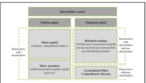 Figure 4: Shareholders’ equity and causes for change 