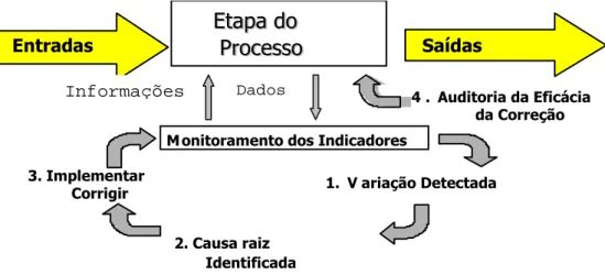Figura 11 - Processo de Monitoramento dos Indicadores 