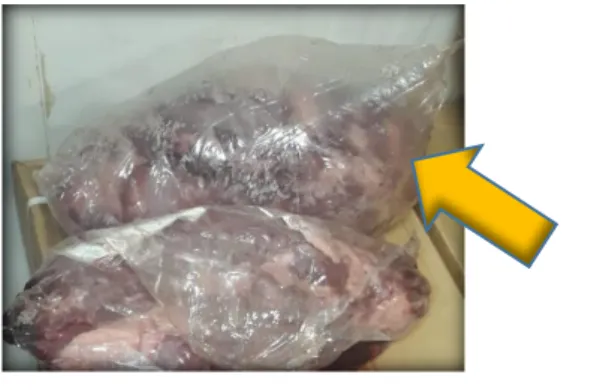Figura 1 - Corte de carne bovina embalada a vácuo com Estufamento microbiológico 