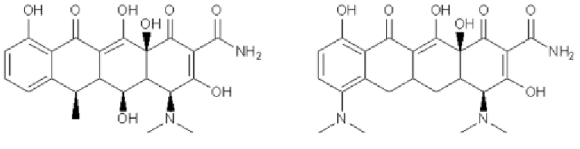 Figura 1- Estrutura química da Doxiciclina e da Minociclina (P.I.). Doxiciclina  Minociclina 
